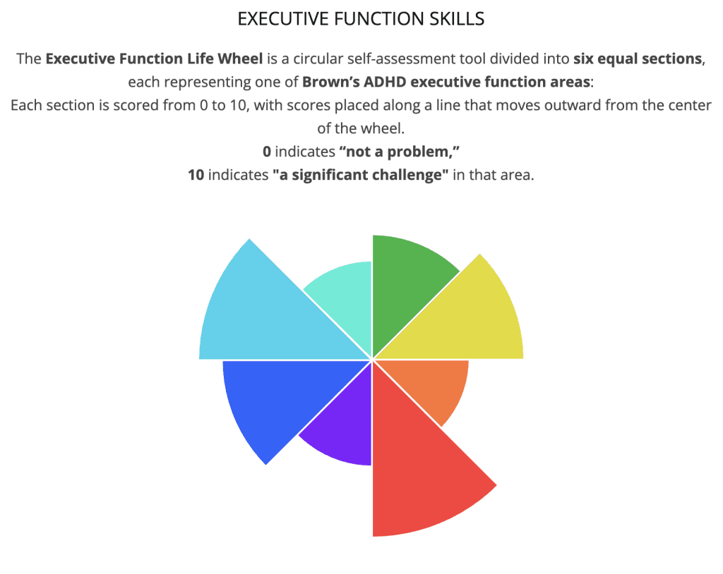 ADHD coaching Executive Function Skills Wheel - self-assessmnet test